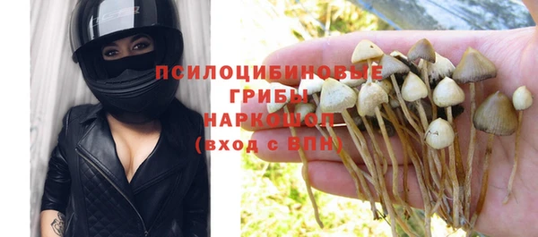 МДМА Белокуриха