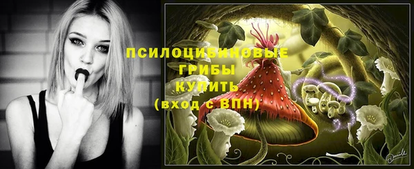 прущая мука Богородицк