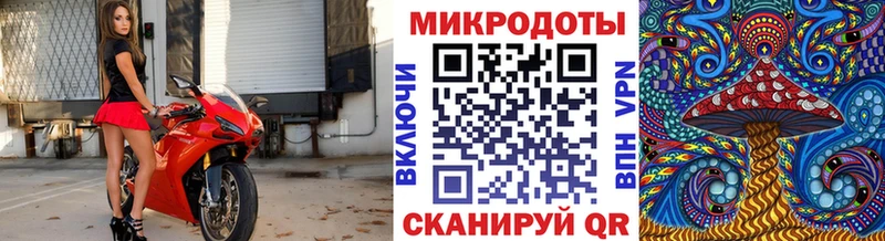 hydra онион  купить наркоту  Очёр  Галлюциногенные грибы Psilocybine cubensis 